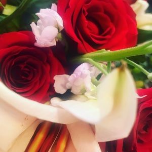 Meet your Posher, Stefani